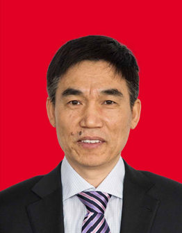 中国氟硅有机材料工业协会副理事长 王维东